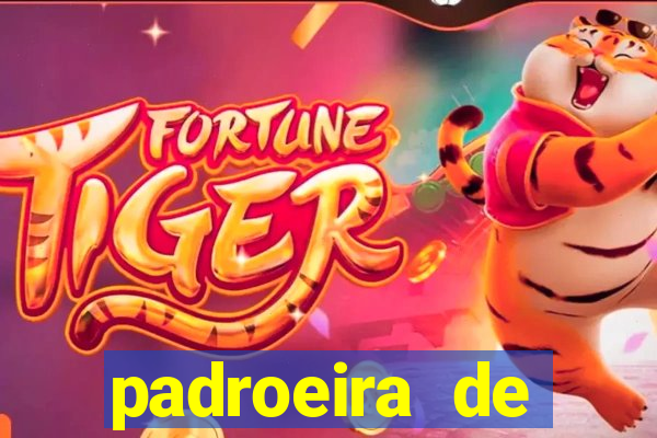 padroeira de cruzeiro sp